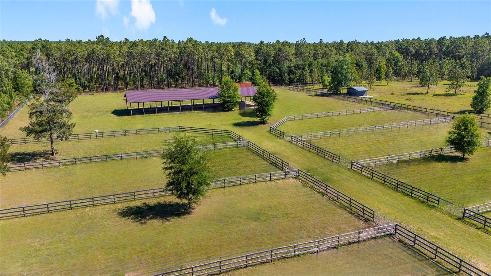 13531 SE 54TH ST, MORRISTON, FL, 32668