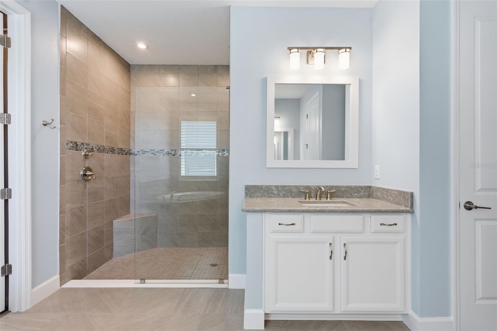 33805 CASTAWAY LOOP, WESLEY CHAPEL, FL, 33543