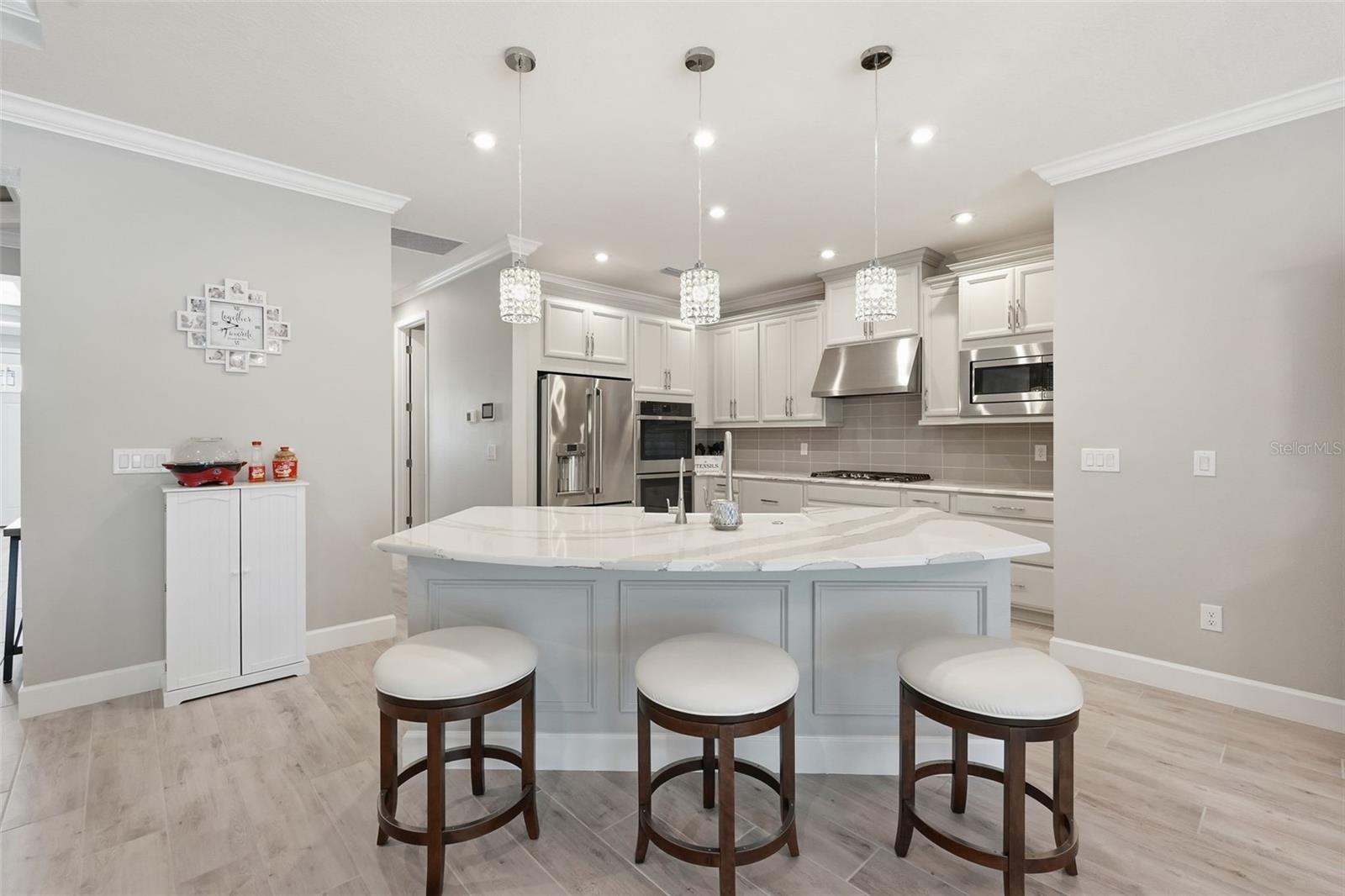 33805 CASTAWAY LOOP, WESLEY CHAPEL, FL, 33543