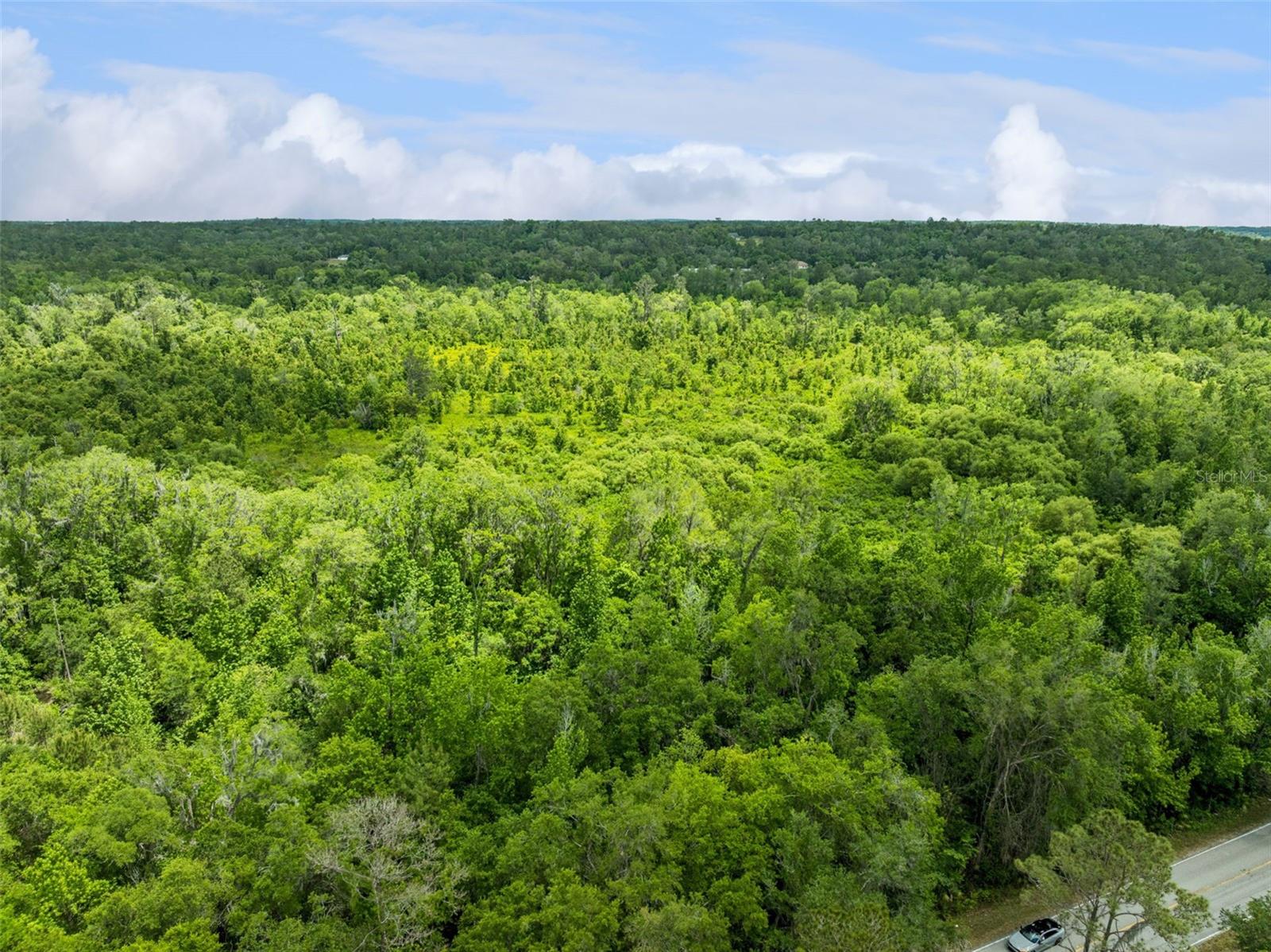CULBREATH RD, BROOKSVILLE, FL, 34602