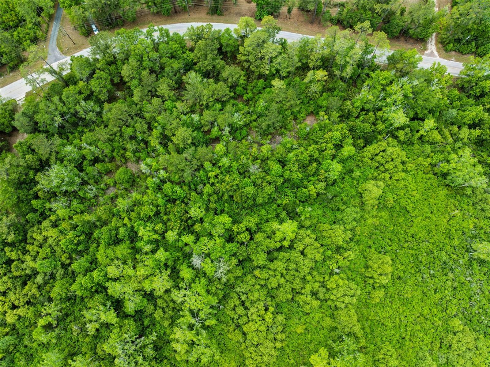 CULBREATH RD, BROOKSVILLE, FL, 34602