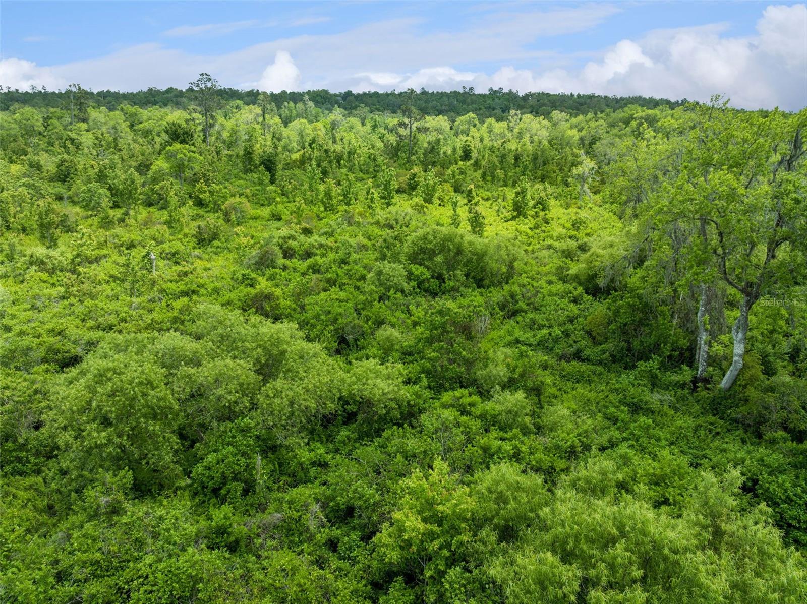 CULBREATH RD, BROOKSVILLE, FL, 34602