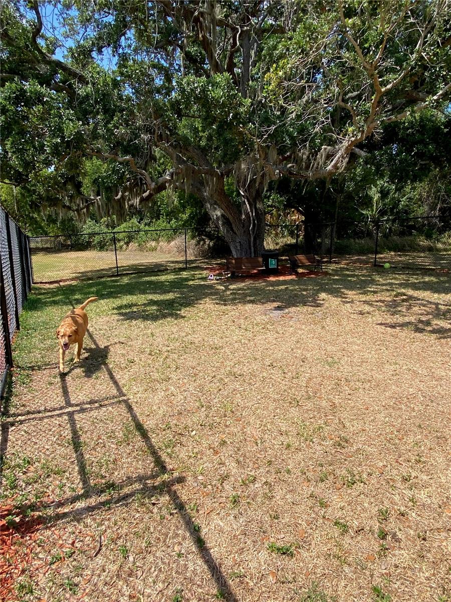 8330 FANTASIA PARK WAY, RIVERVIEW, FL, 33578