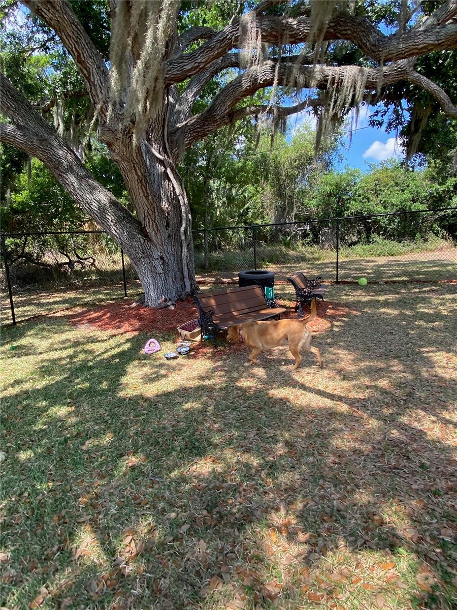 8330 FANTASIA PARK WAY, RIVERVIEW, FL, 33578