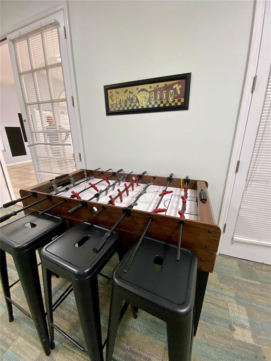 8330 FANTASIA PARK WAY, RIVERVIEW, FL, 33578