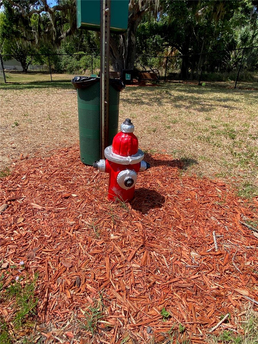 8330 FANTASIA PARK WAY, RIVERVIEW, FL, 33578