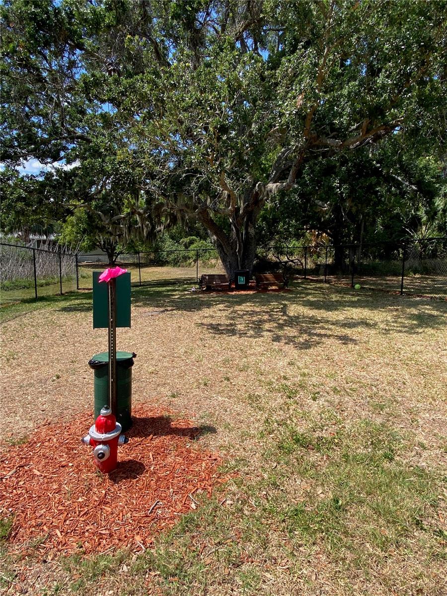 8330 FANTASIA PARK WAY, RIVERVIEW, FL, 33578