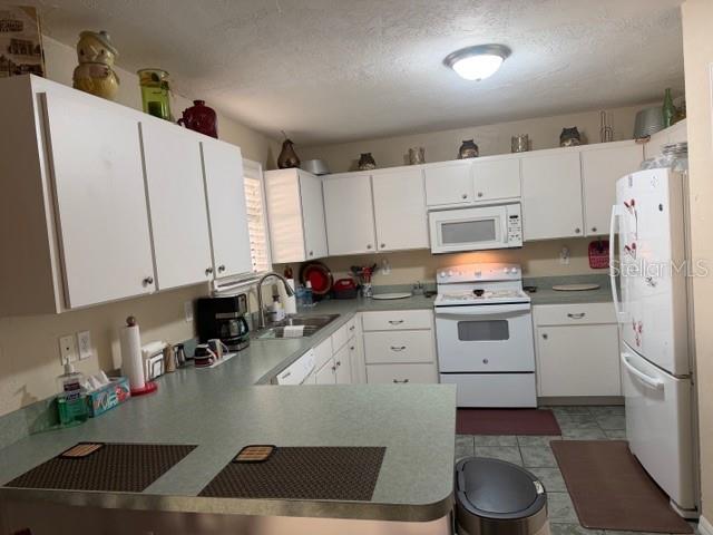 109 NW 264 ST, NEWBERRY, FL, 32669