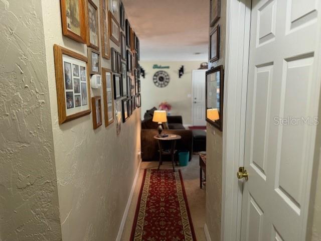 109 NW 264 ST, NEWBERRY, FL, 32669