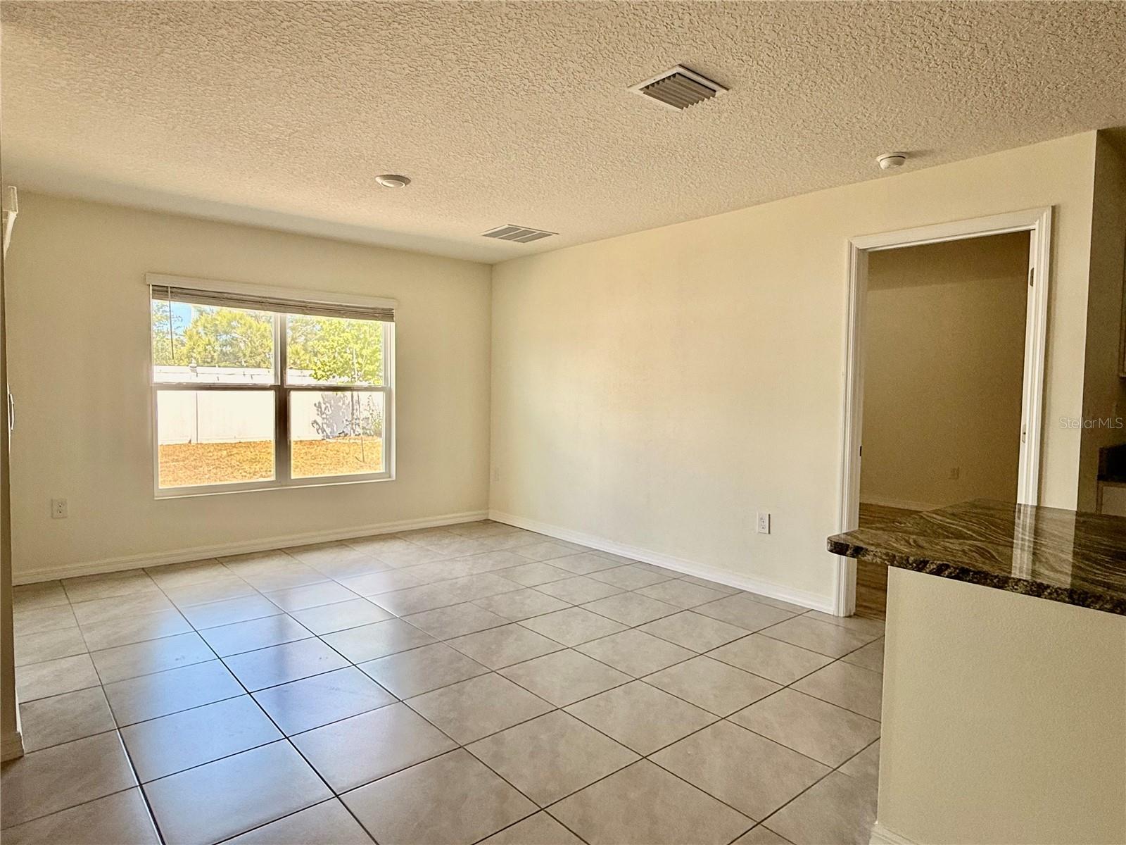 4119 AUTUMN AMBER DR, SPRING HILL, FL, 34609