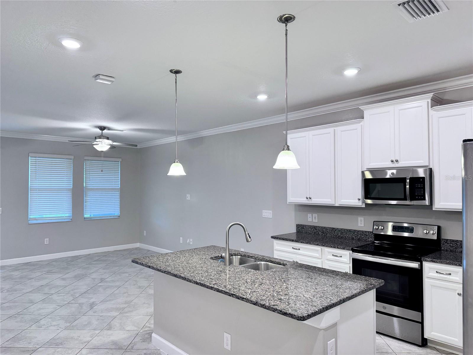 18741 NOBLE CASPIAN DR, LUTZ, FL, 33558