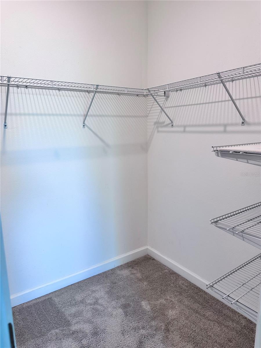 18741 NOBLE CASPIAN DR, LUTZ, FL, 33558