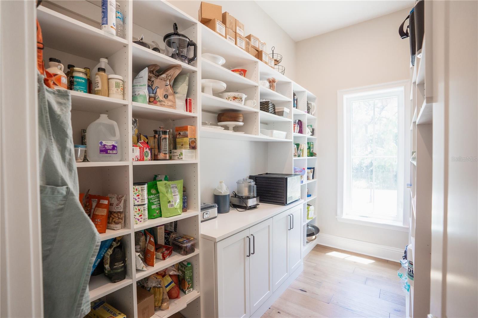 4402 W BEACH PARK DR, TAMPA, FL, 33609