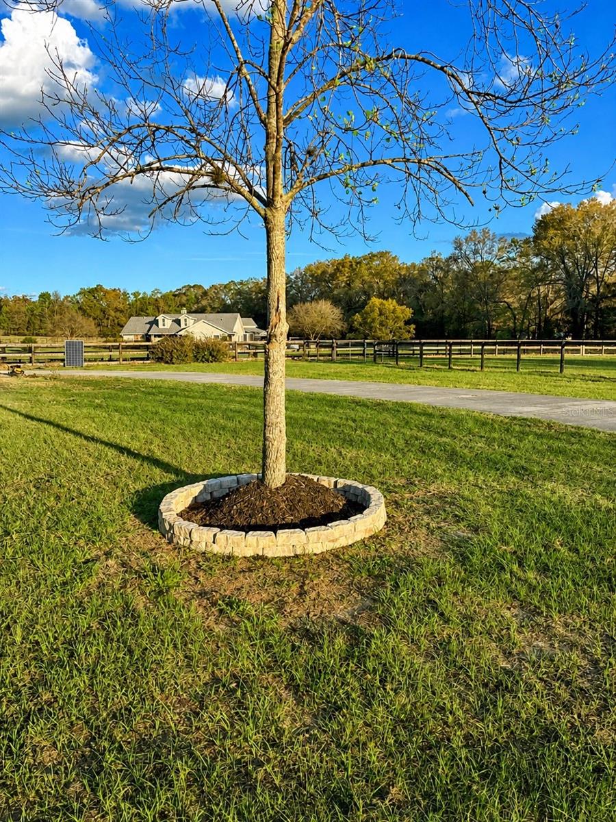 5440 NE 31ST TER, OCALA, FL, 34479