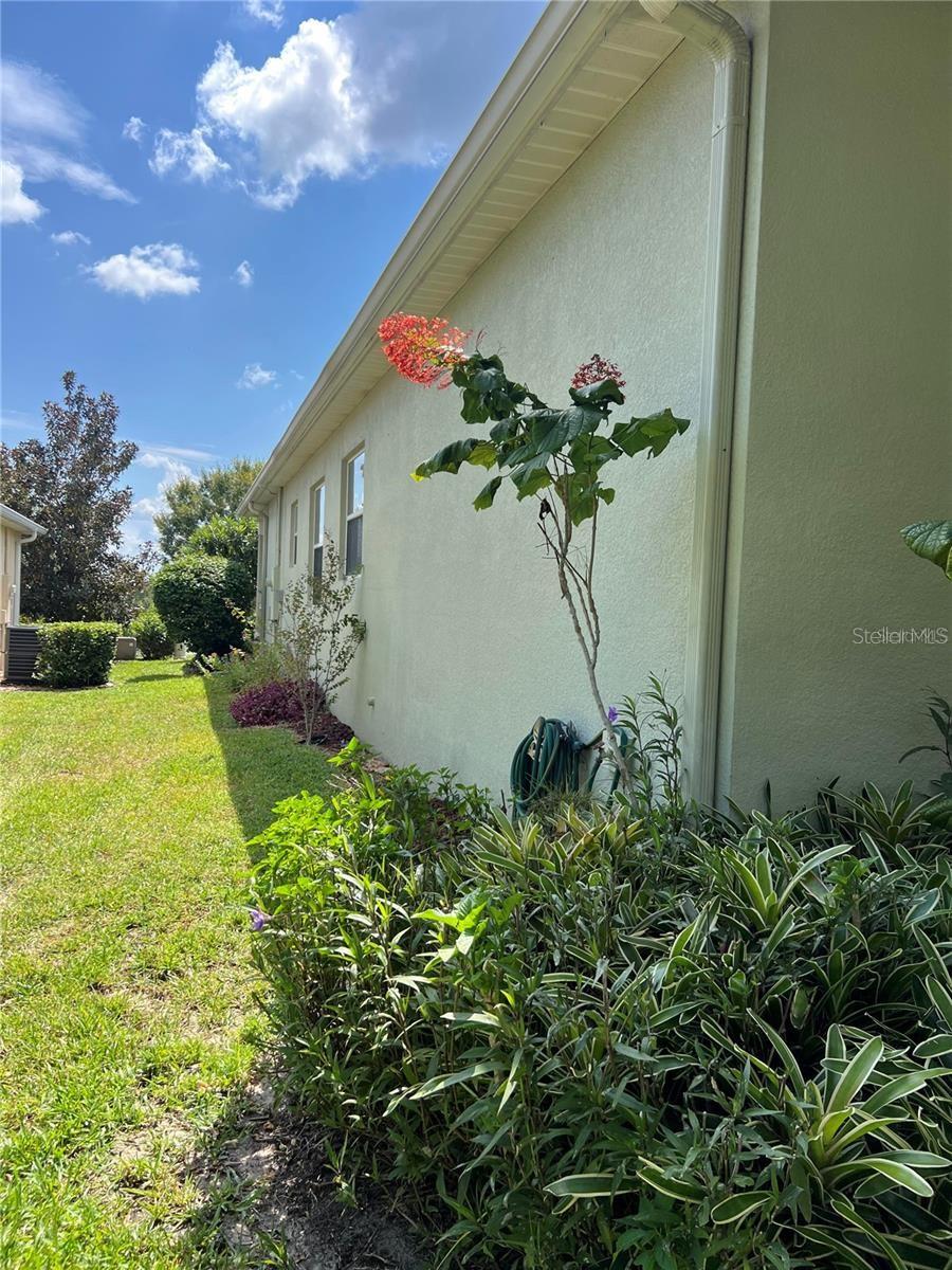 119 FALLING ACORN AVE, GROVELAND, FL, 34736