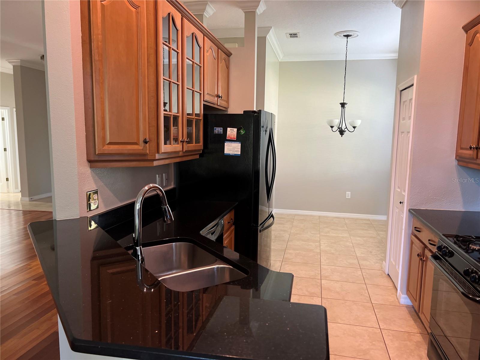119 FALLING ACORN AVE, GROVELAND, FL, 34736