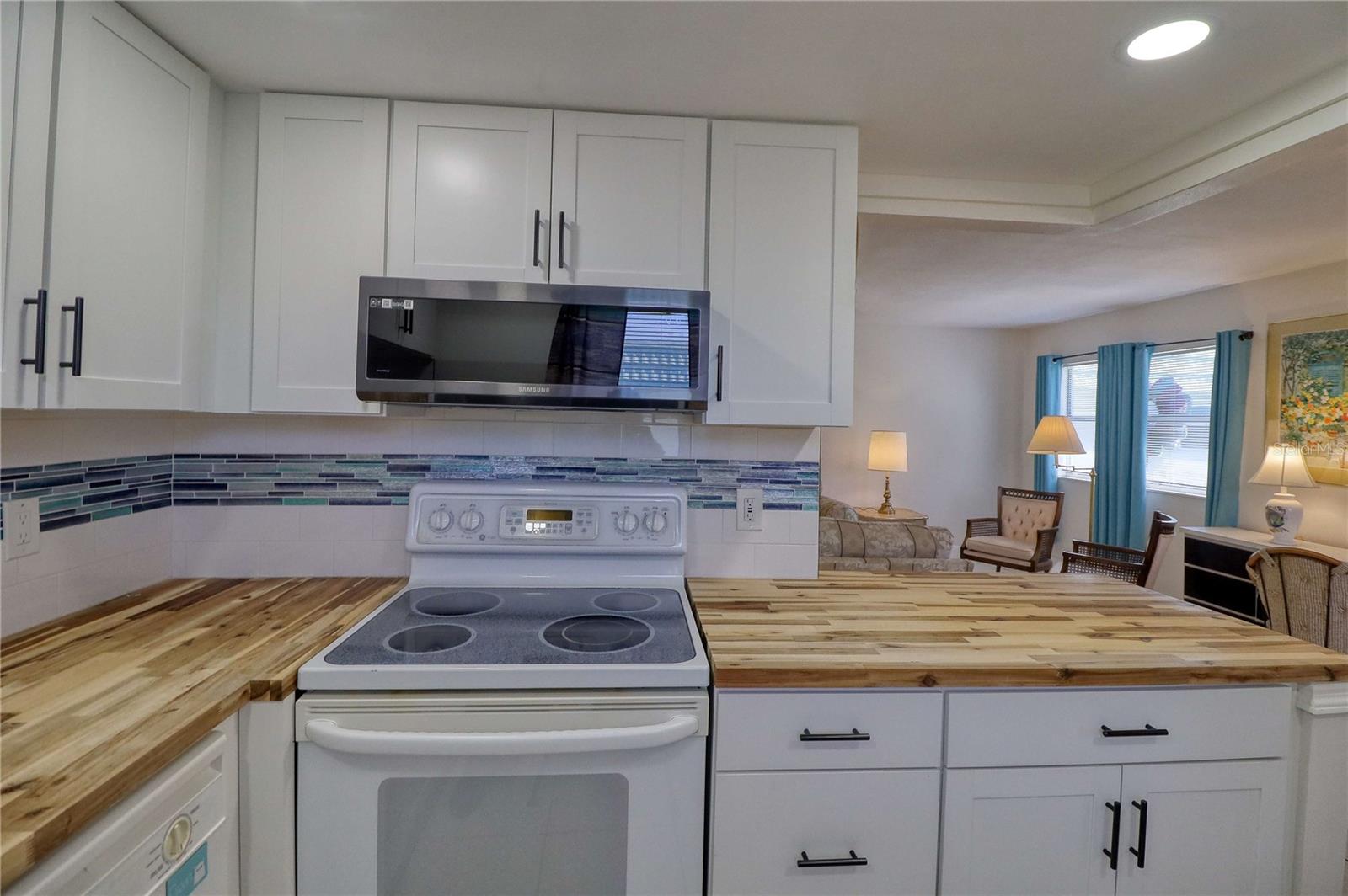 101 CAMBRIDGE TRL #196, SUN CITY CENTER, FL, 33573