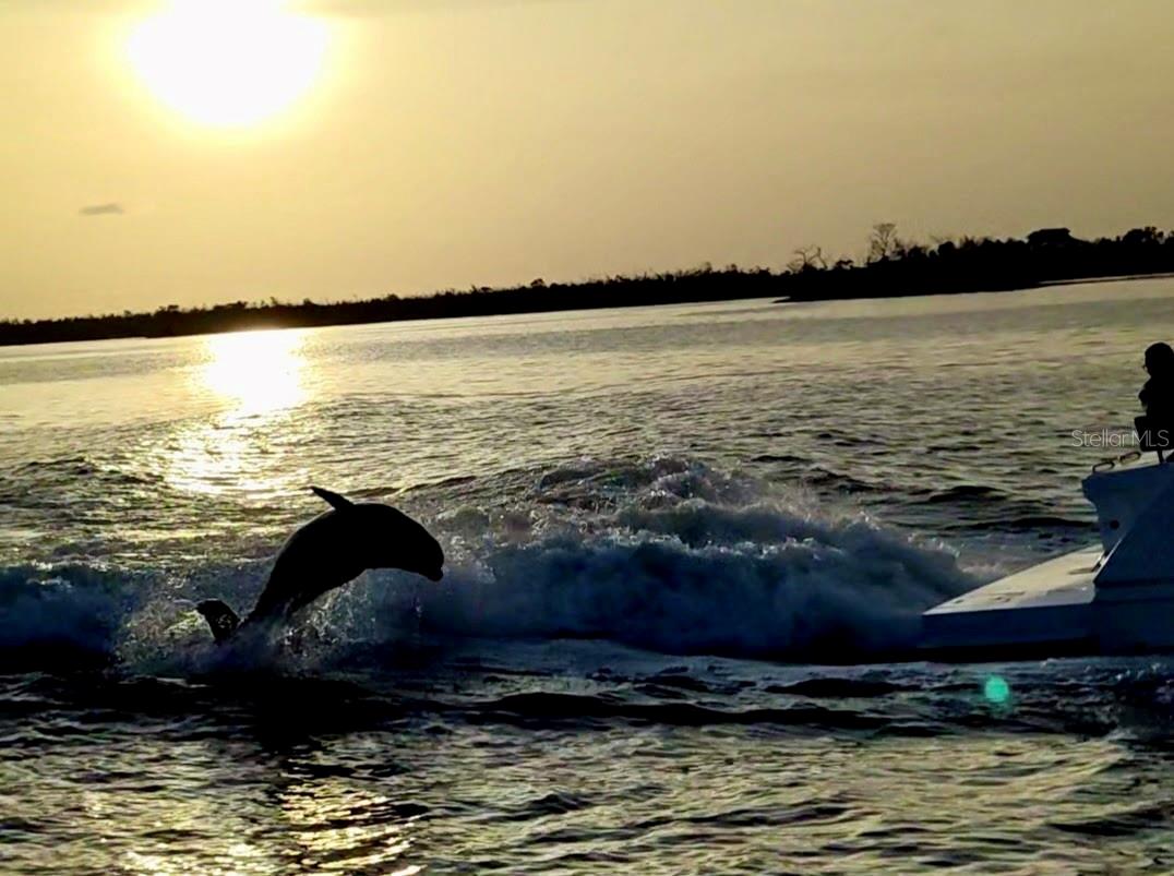 1305 SE 37TH TER, CAPE CORAL, FL, 33904