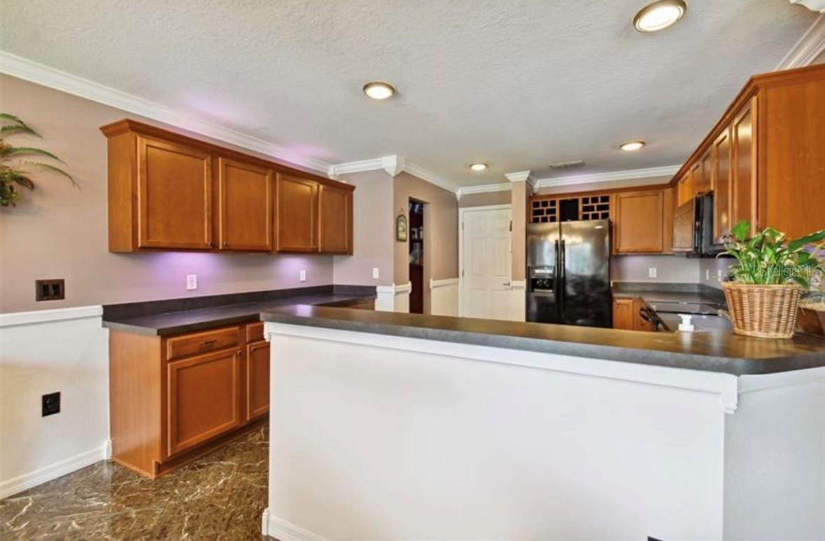 18907 RANDALL PL, LAND O LAKES, FL, 34638