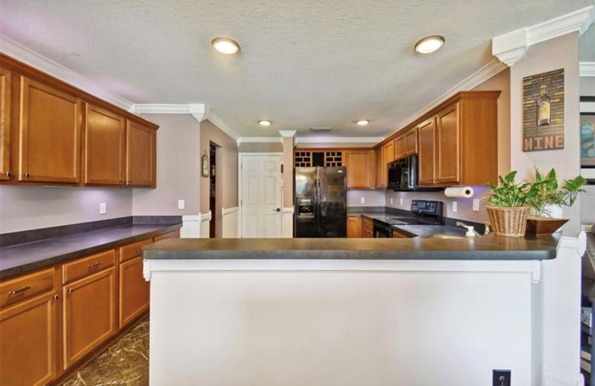 18907 RANDALL PL, LAND O LAKES, FL, 34638