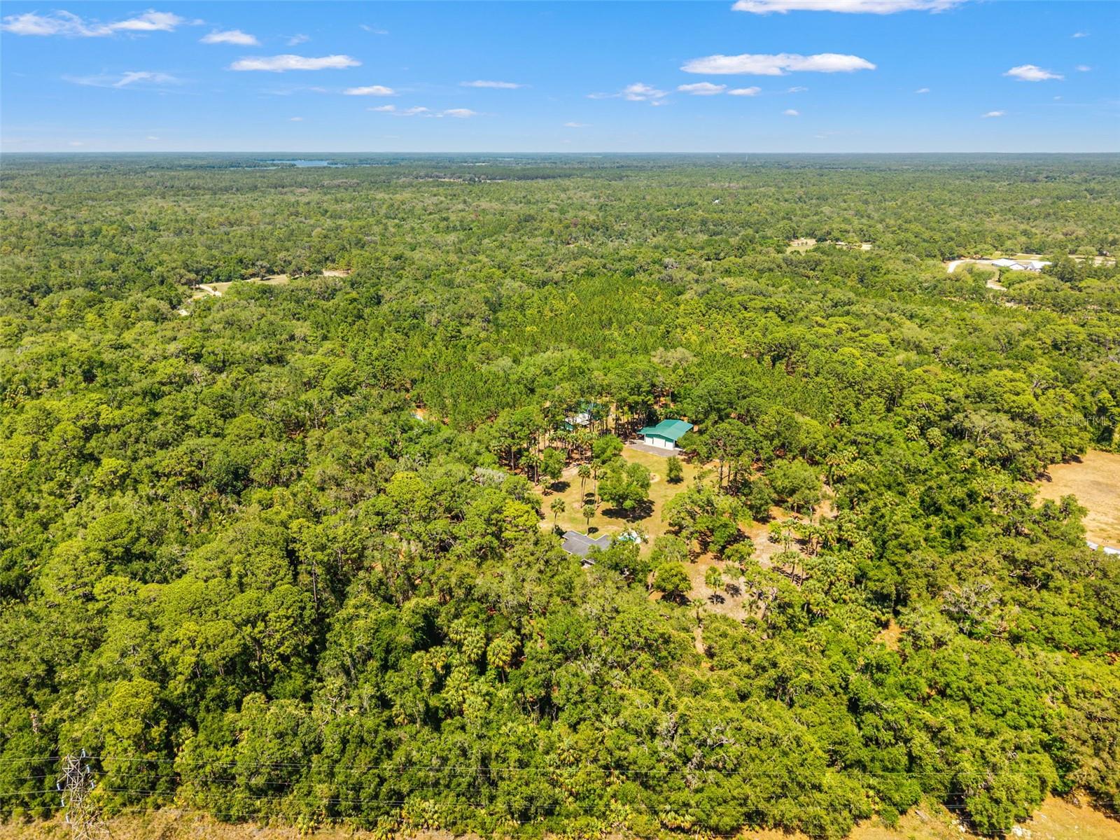 7845 N FLAME VINE WAY, CRYSTAL RIVER, FL, 34428