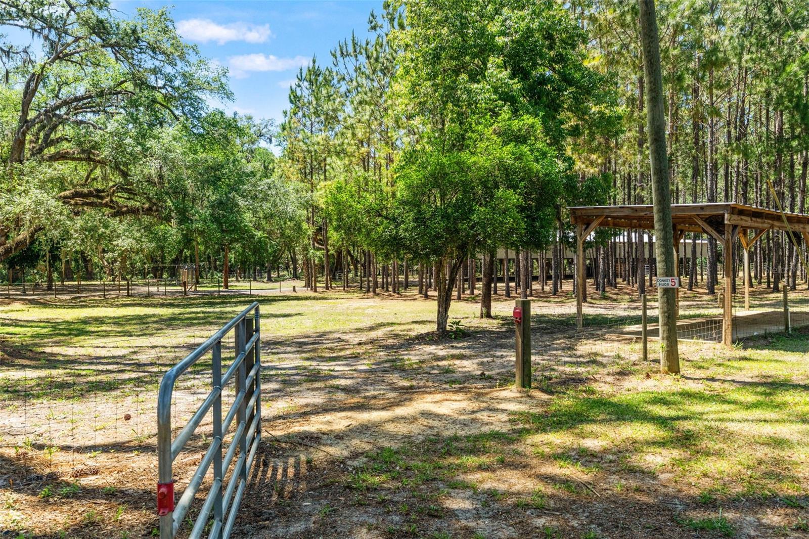 7845 N FLAME VINE WAY, CRYSTAL RIVER, FL, 34428