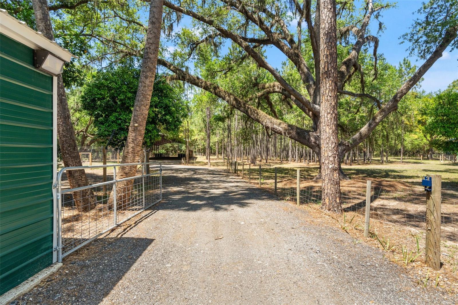 7845 N FLAME VINE WAY, CRYSTAL RIVER, FL, 34428