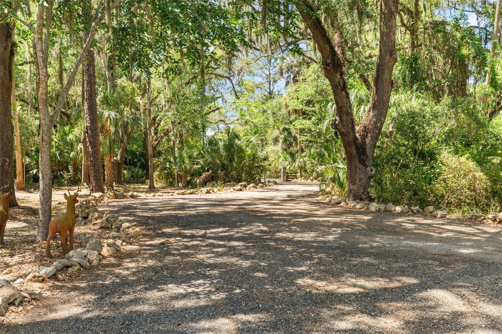 7845 N FLAME VINE WAY, CRYSTAL RIVER, FL, 34428
