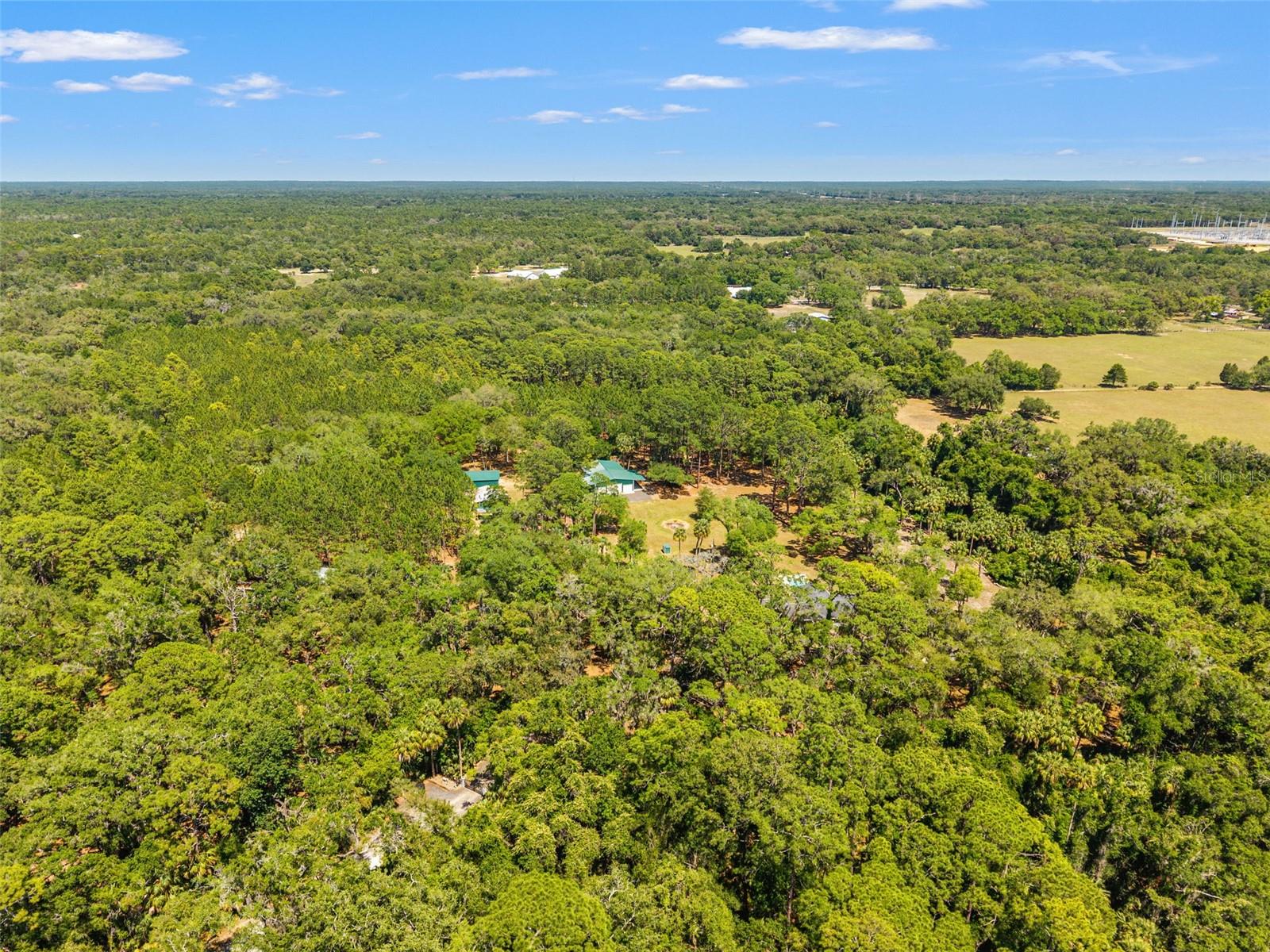 7845 N FLAME VINE WAY, CRYSTAL RIVER, FL, 34428