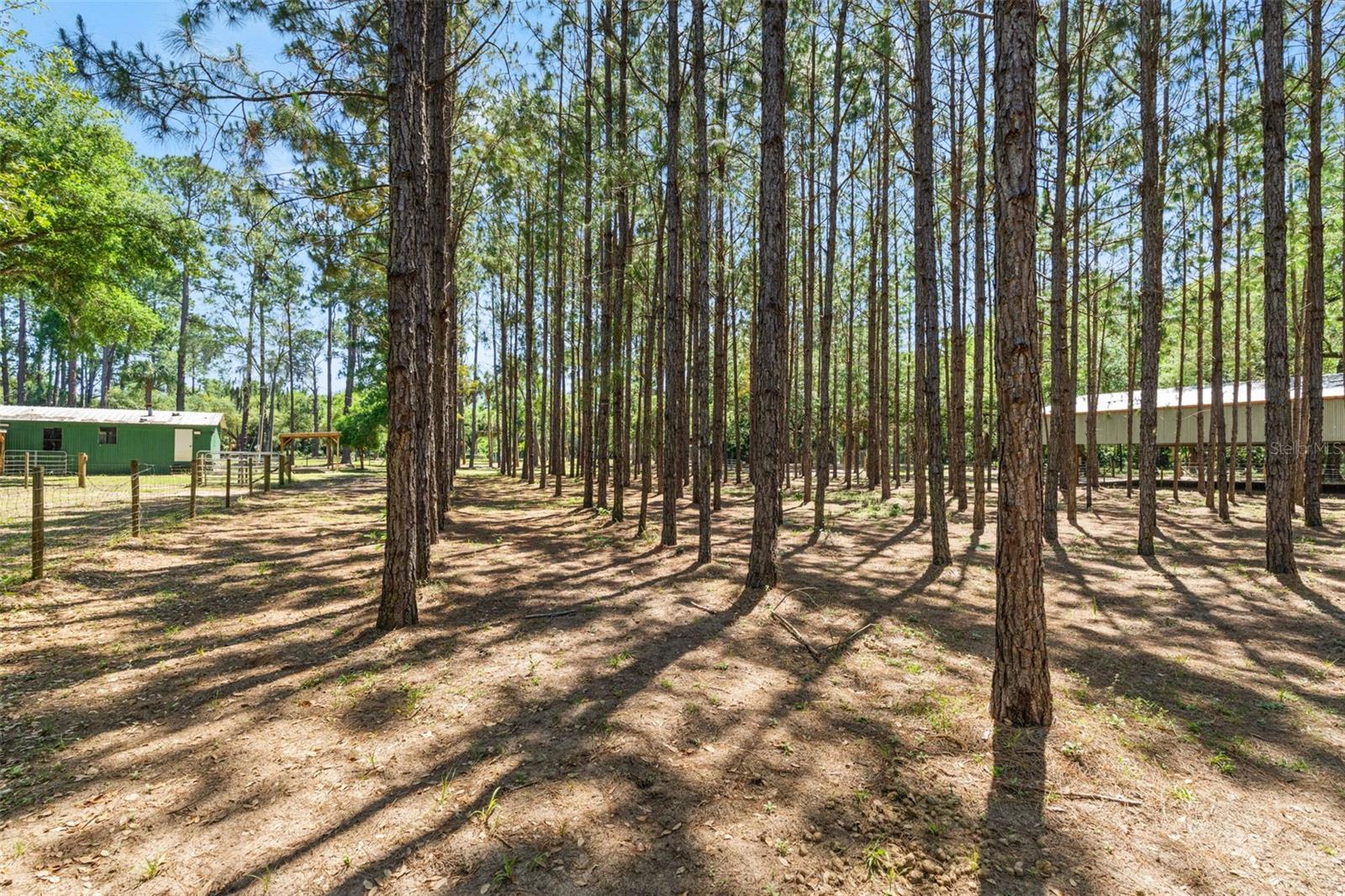 7845 N FLAME VINE WAY, CRYSTAL RIVER, FL, 34428