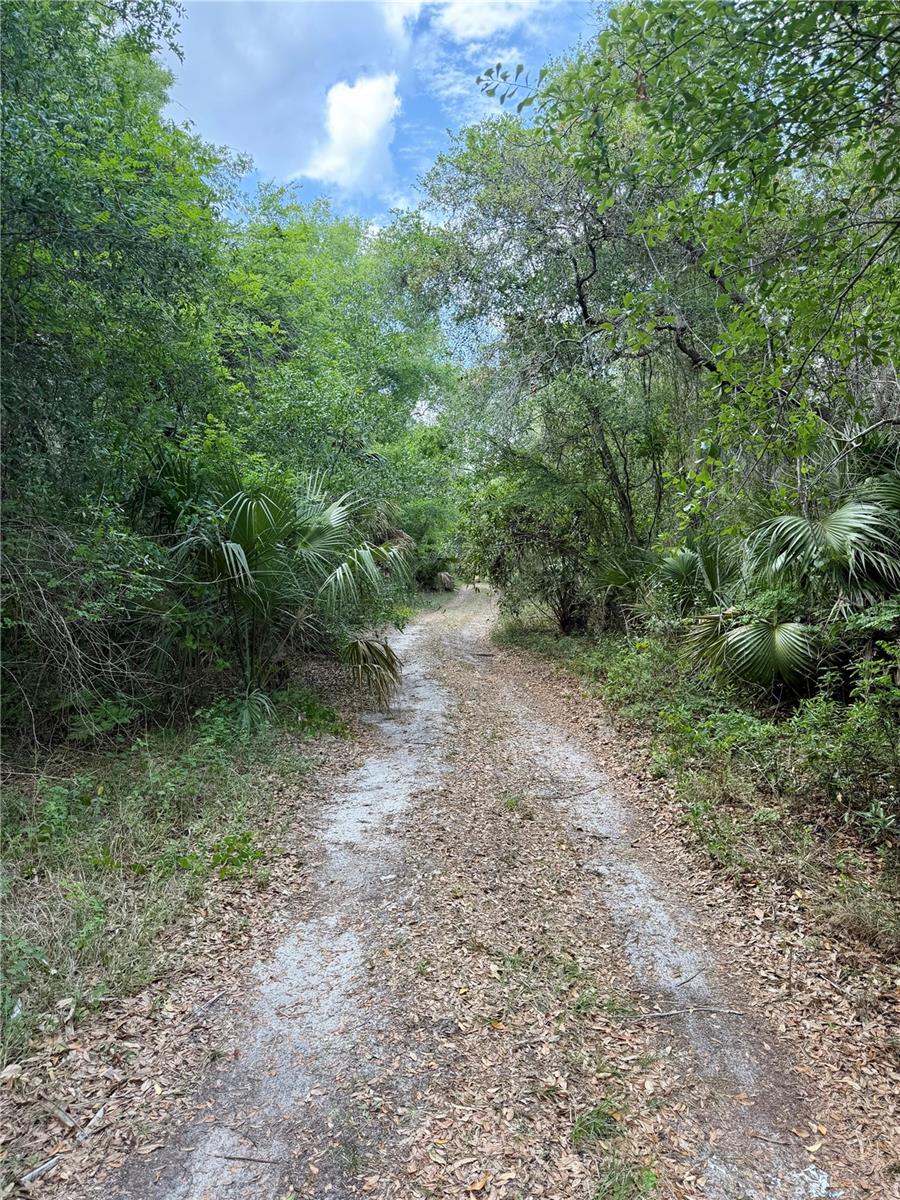 16500 NE 48TH AVE, CITRA, FL, 32113