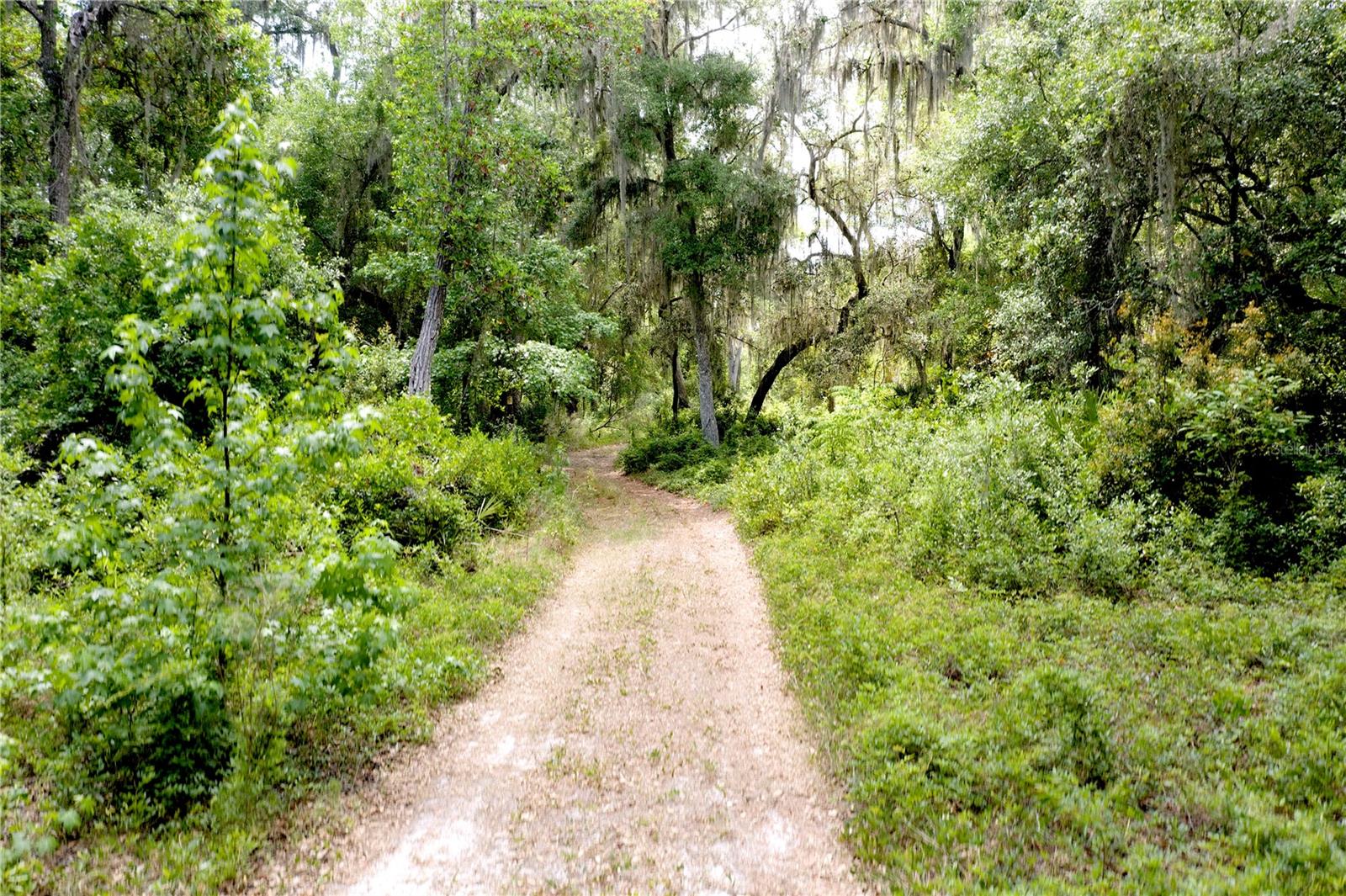 16500 NE 48TH AVE, CITRA, FL, 32113