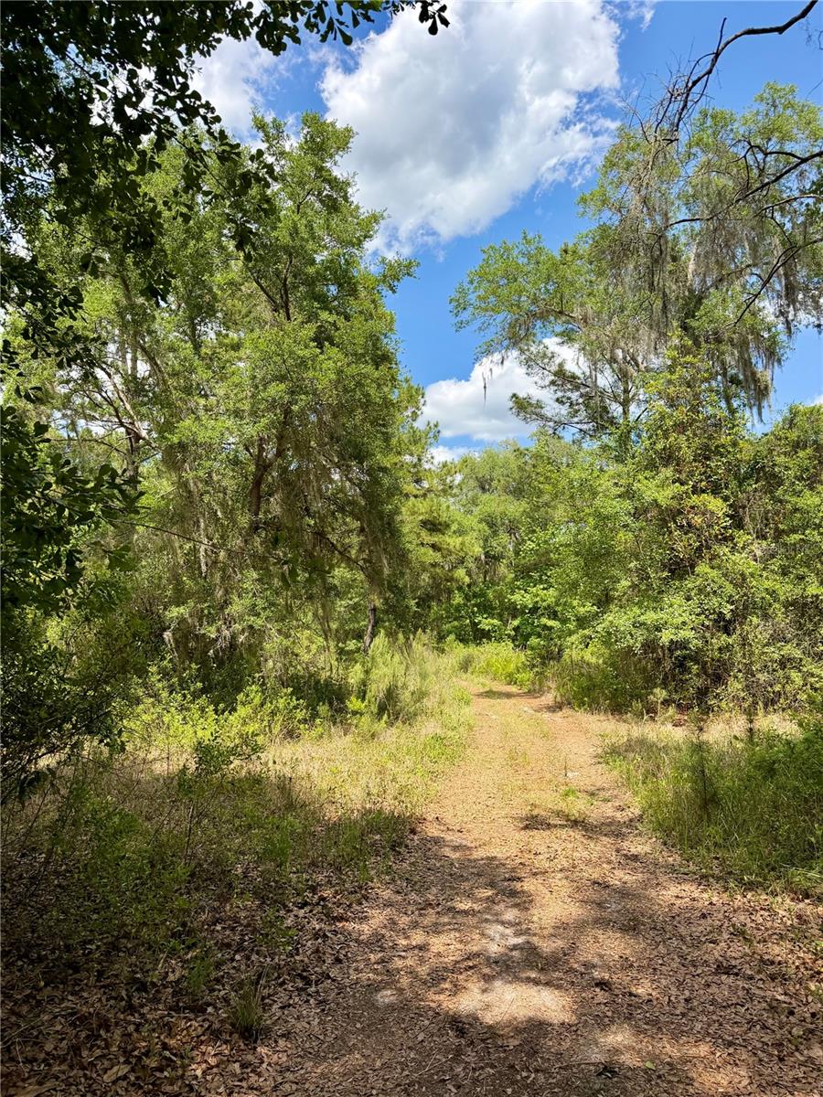 16500 NE 48TH AVE, CITRA, FL, 32113