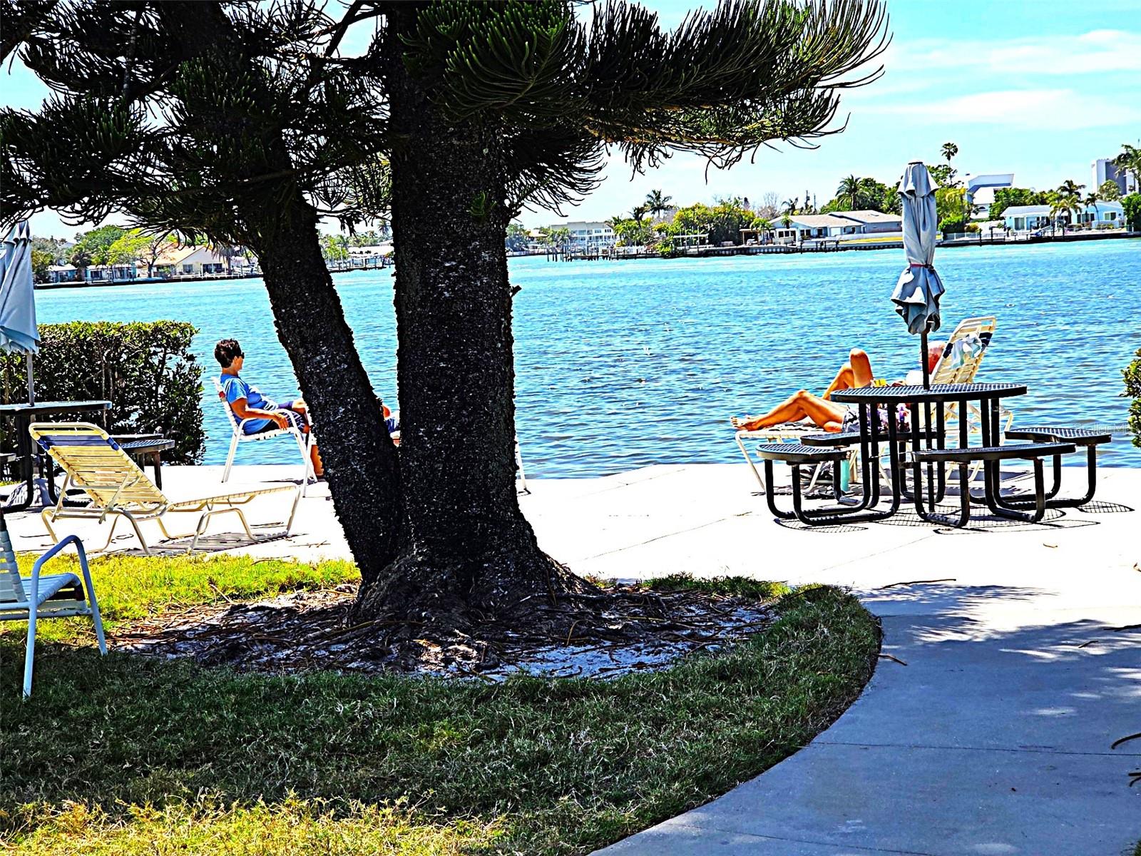 12760 INDIAN ROCKS RD #578, LARGO, FL, 33774