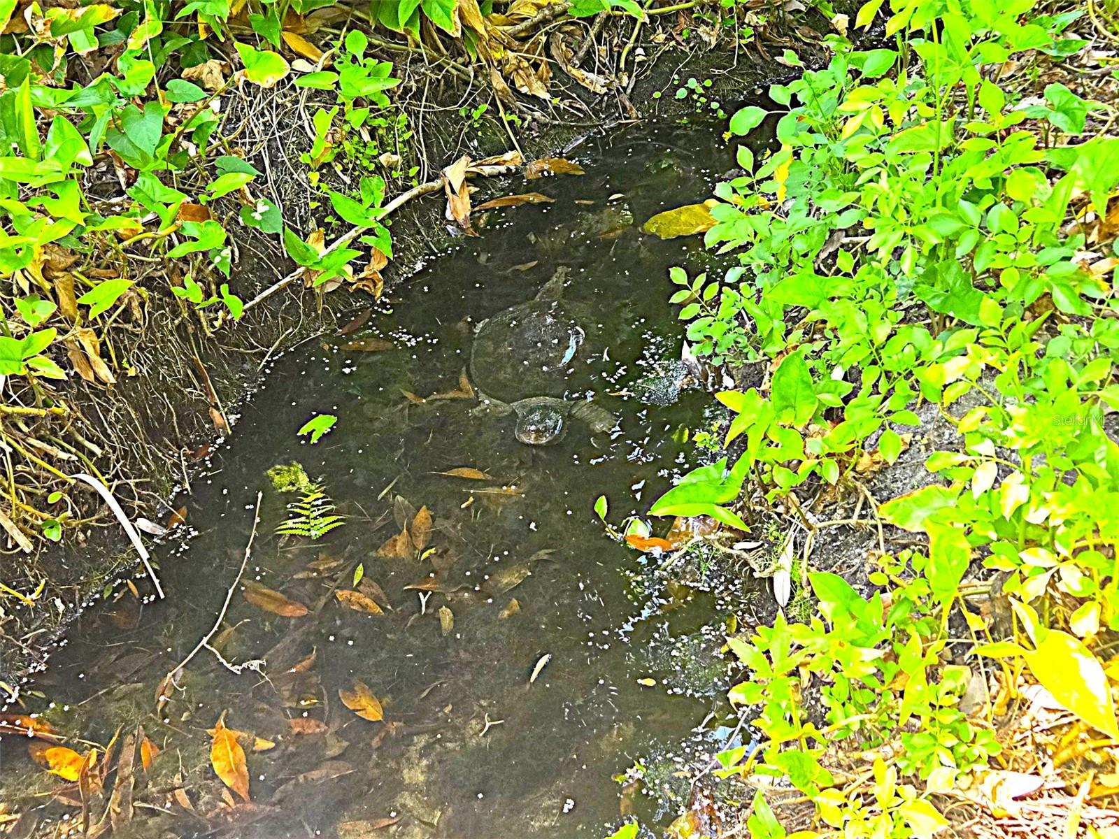 12760 INDIAN ROCKS RD #578, LARGO, FL, 33774