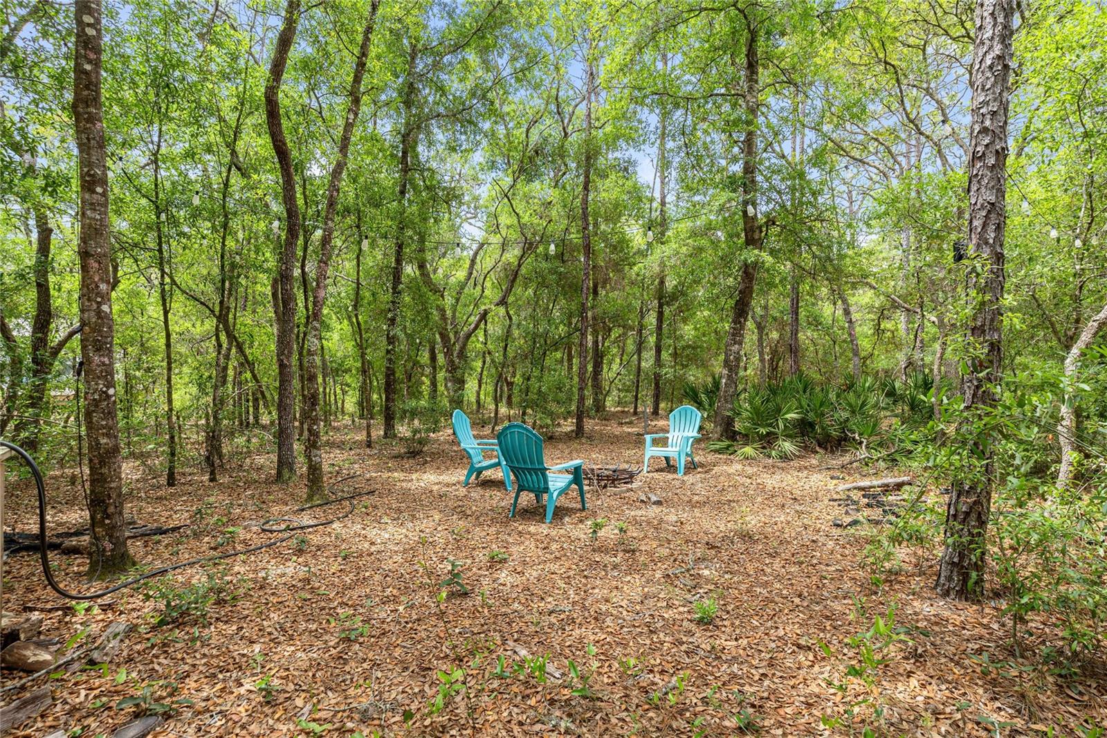 414 S SCHOOL AVE, LECANTO, FL, 34461