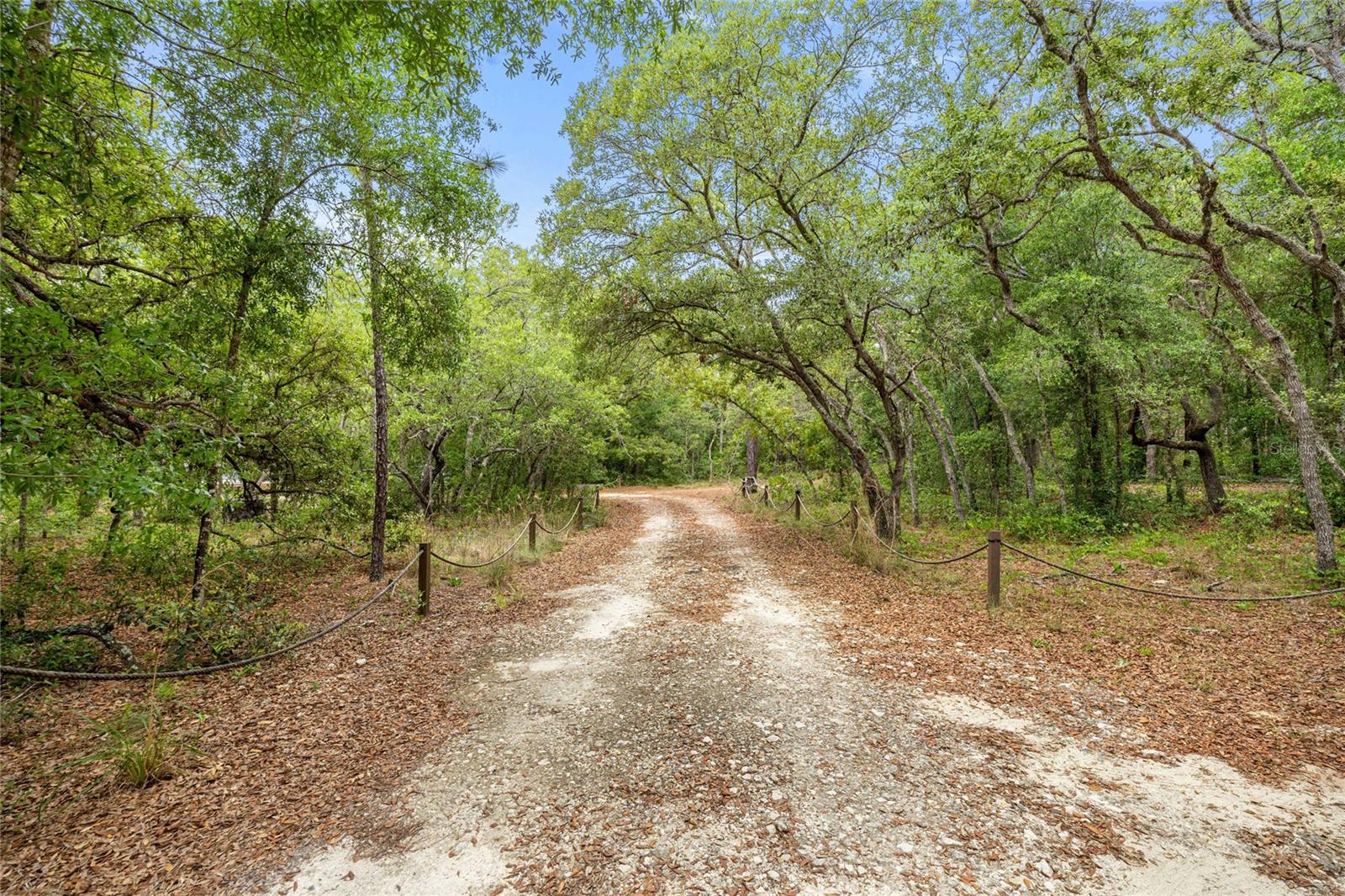 414 S SCHOOL AVE, LECANTO, FL, 34461