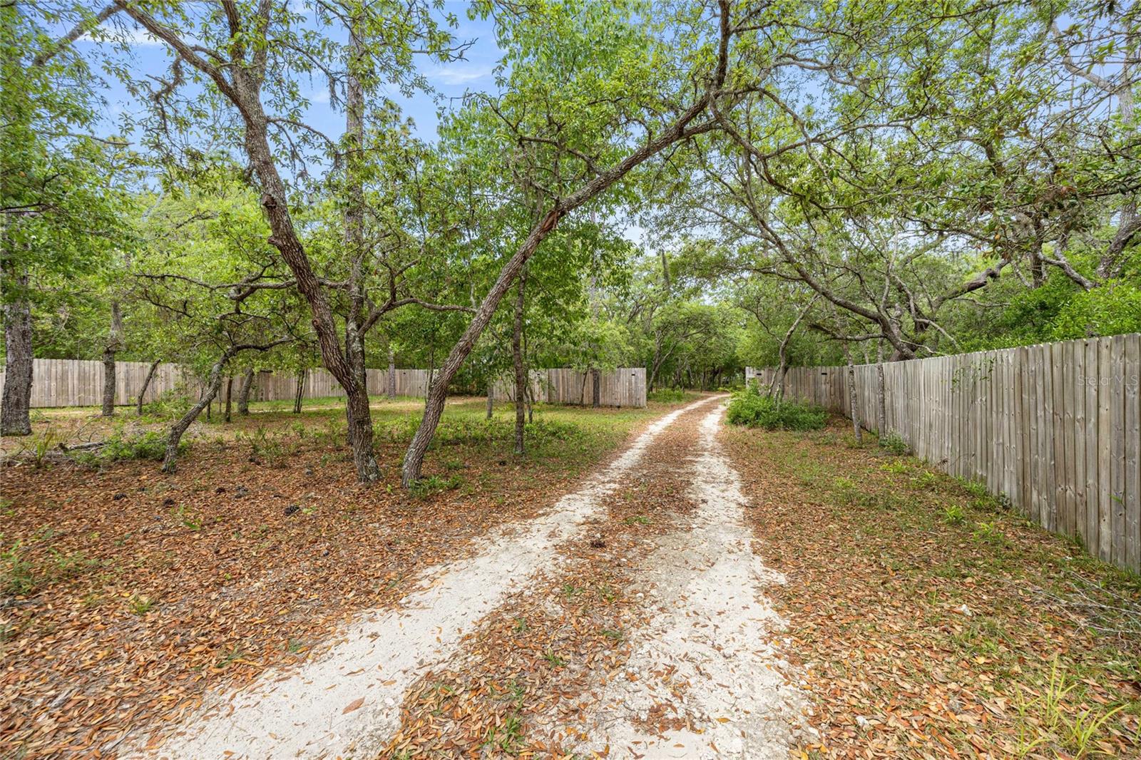 414 S SCHOOL AVE, LECANTO, FL, 34461