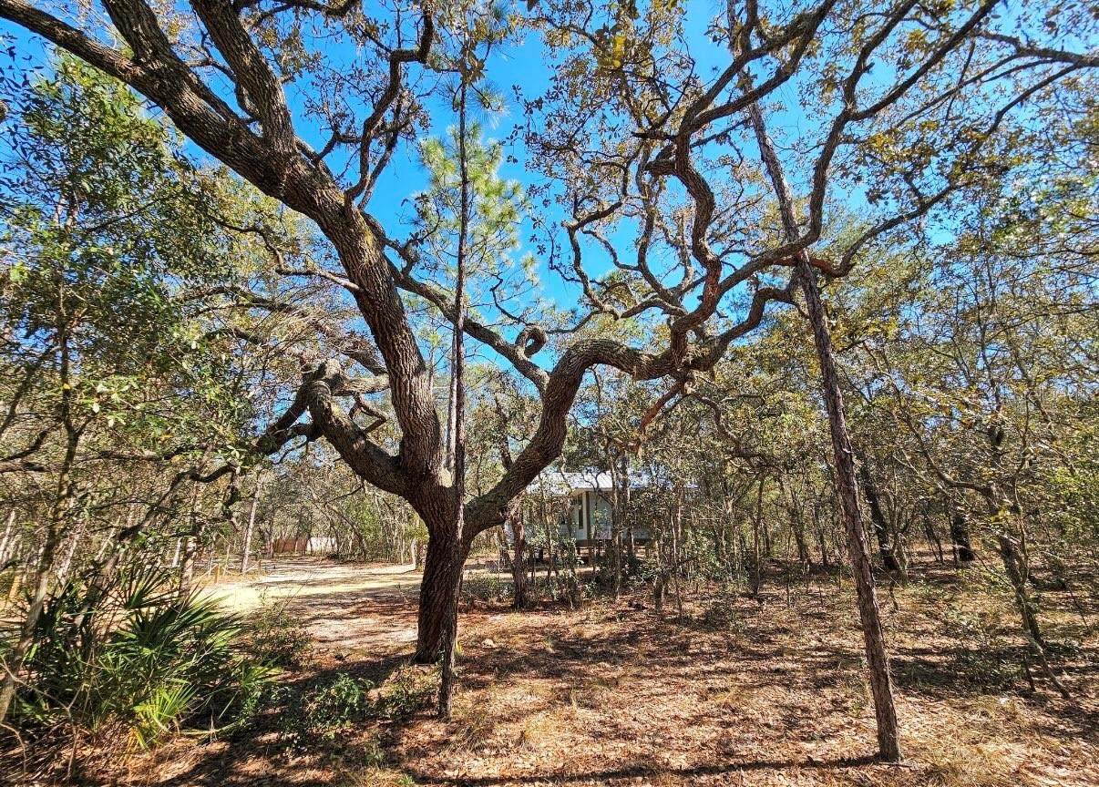 414 S SCHOOL AVE, LECANTO, FL, 34461