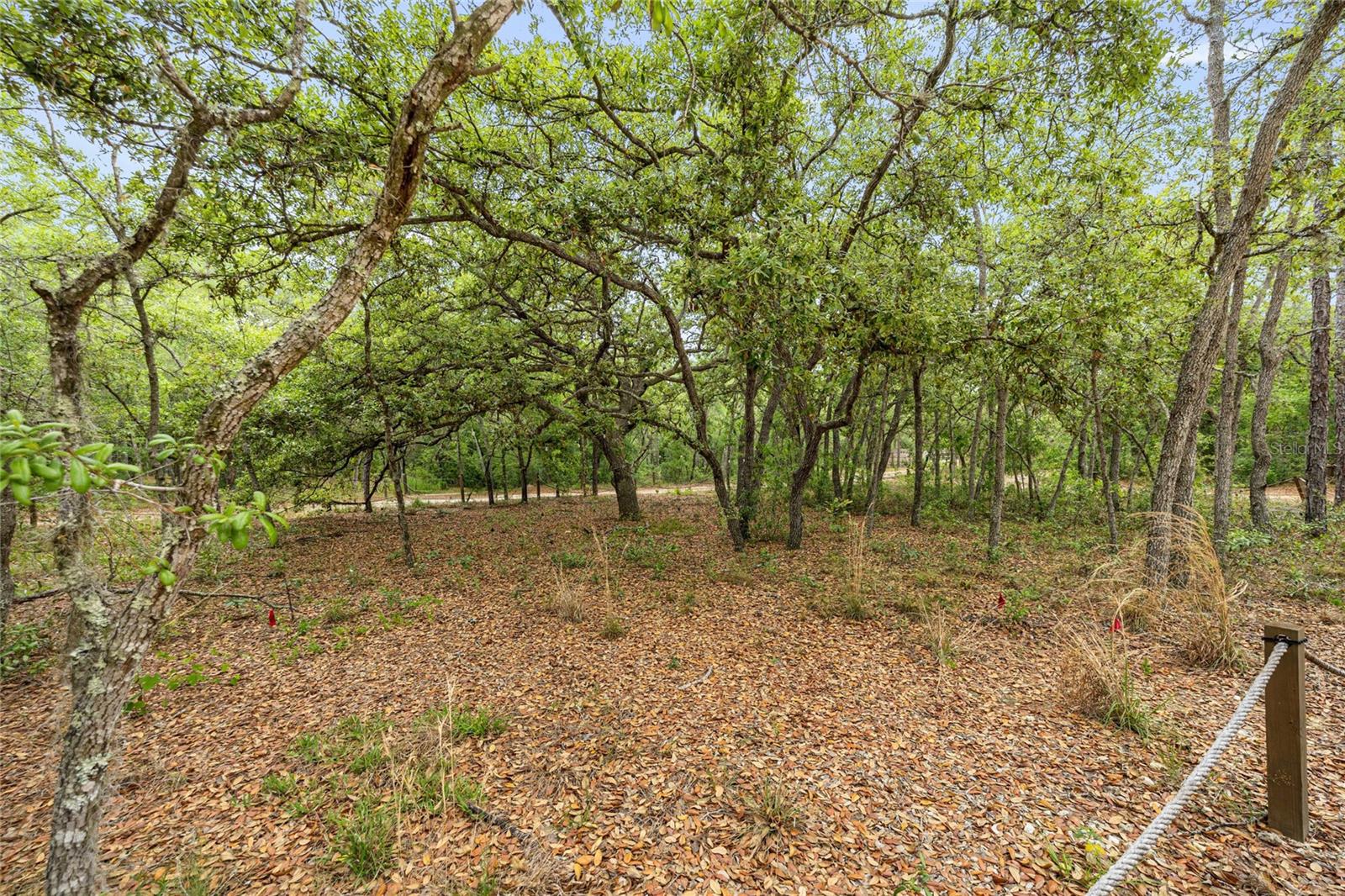 414 S SCHOOL AVE, LECANTO, FL, 34461