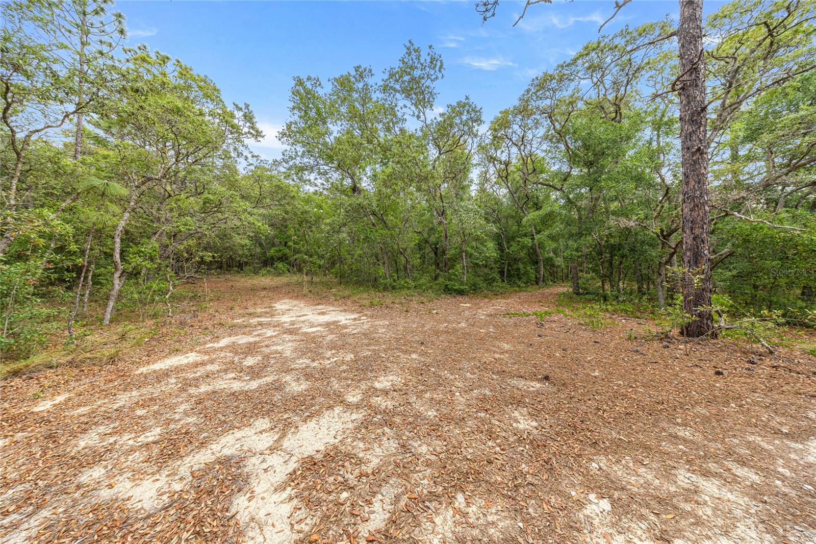 414 S SCHOOL AVE, LECANTO, FL, 34461