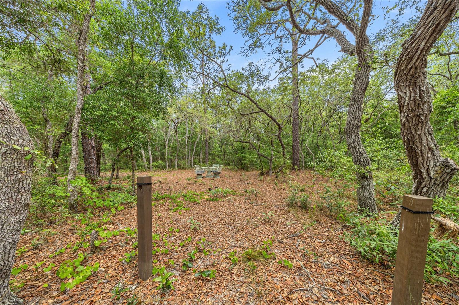 414 S SCHOOL AVE, LECANTO, FL, 34461