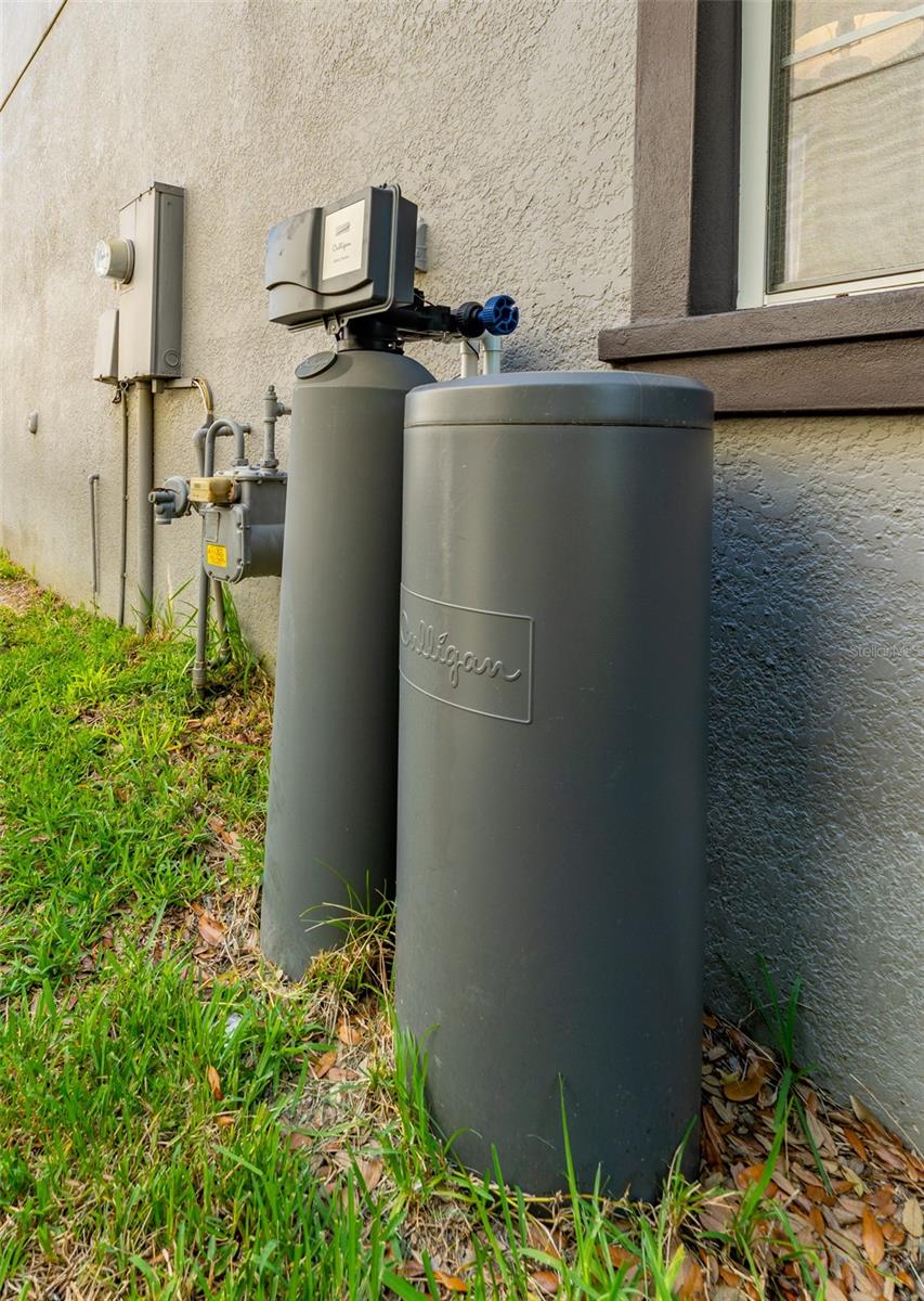 16008 PALMETTORUN CIR, LITHIA, FL, 33547