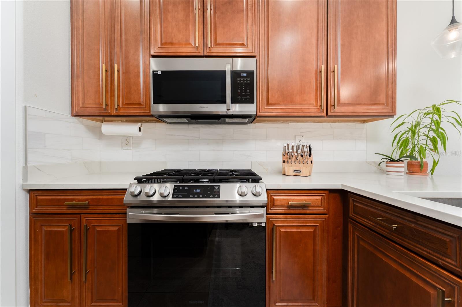 16008 PALMETTORUN CIR, LITHIA, FL, 33547