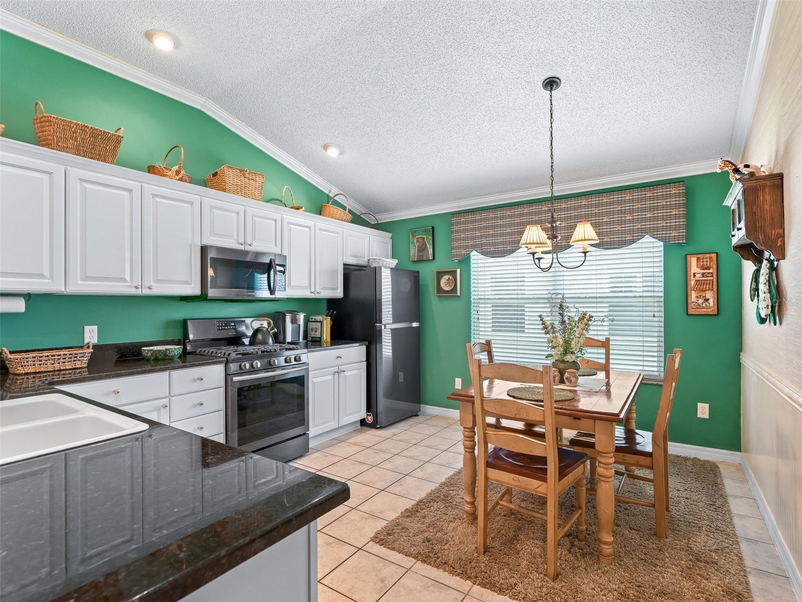 16829 SE 84TH COLERAIN CIR, THE VILLAGES, FL, 32162