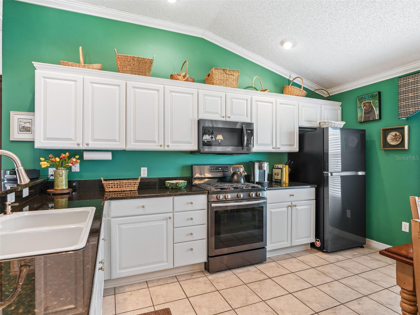 16829 SE 84TH COLERAIN CIR, THE VILLAGES, FL, 32162