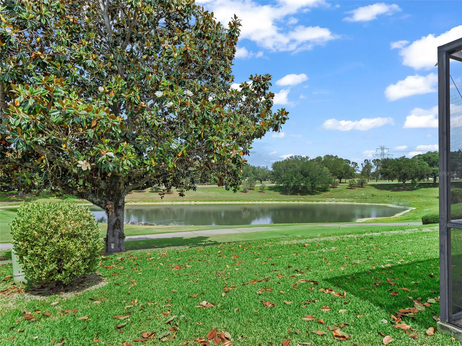 16829 SE 84TH COLERAIN CIR, THE VILLAGES, FL, 32162