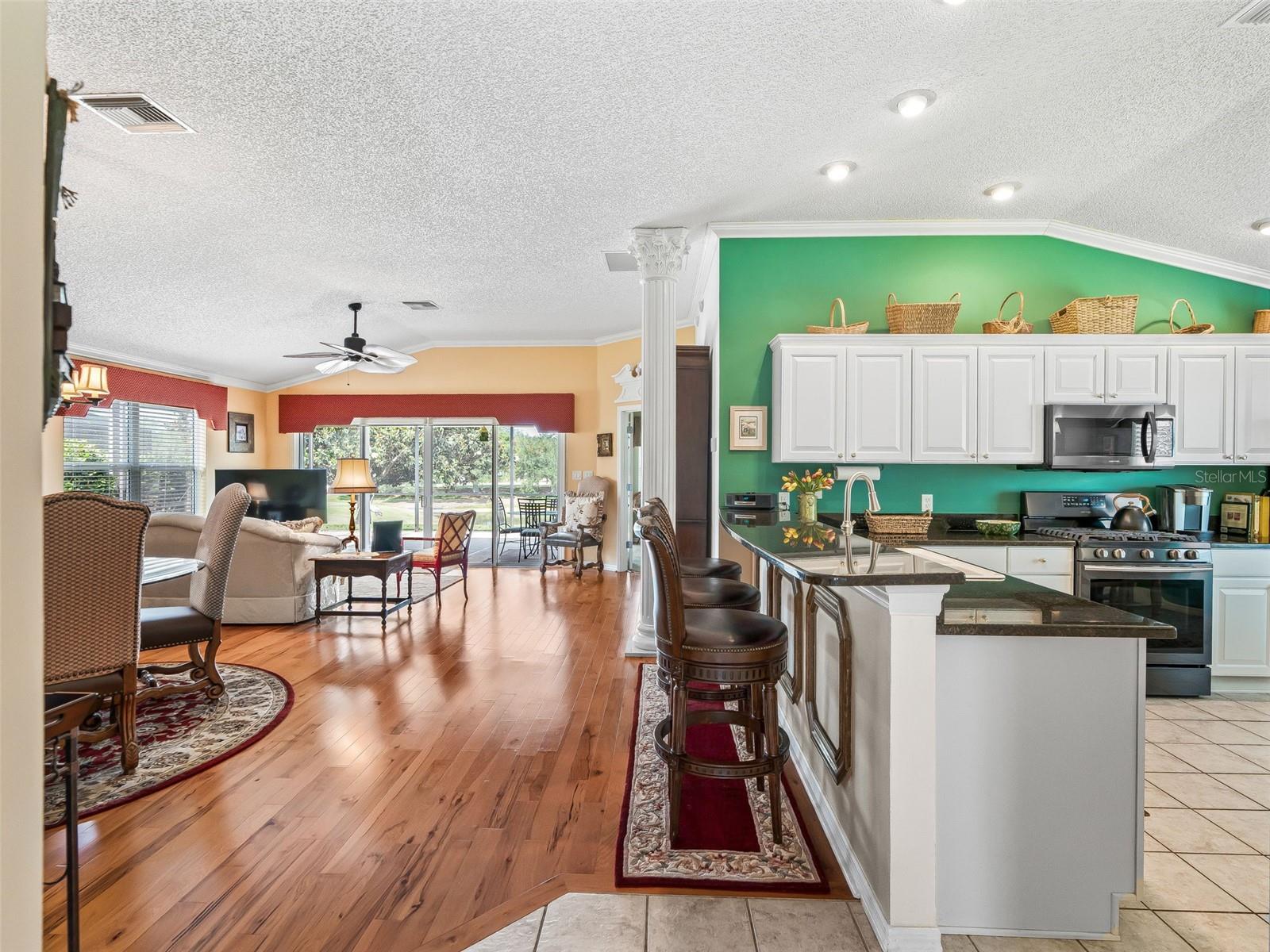 16829 SE 84TH COLERAIN CIR, THE VILLAGES, FL, 32162