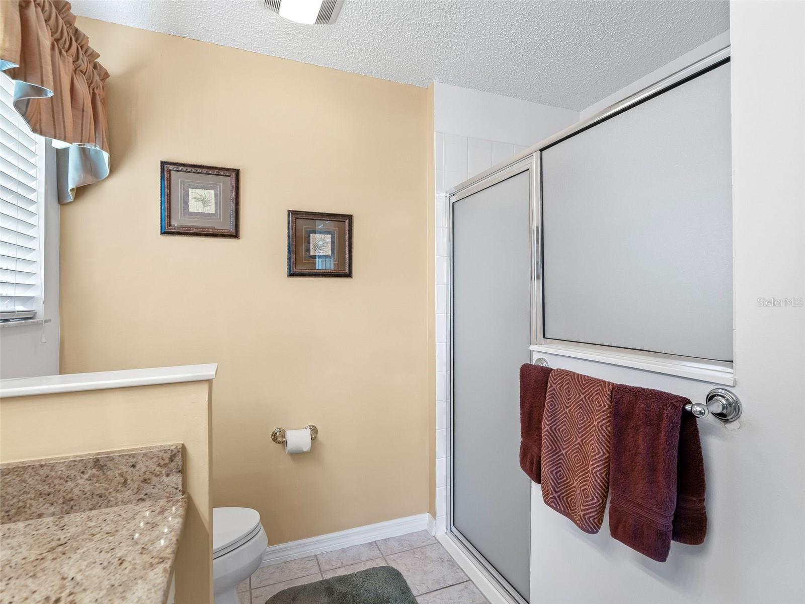 16829 SE 84TH COLERAIN CIR, THE VILLAGES, FL, 32162