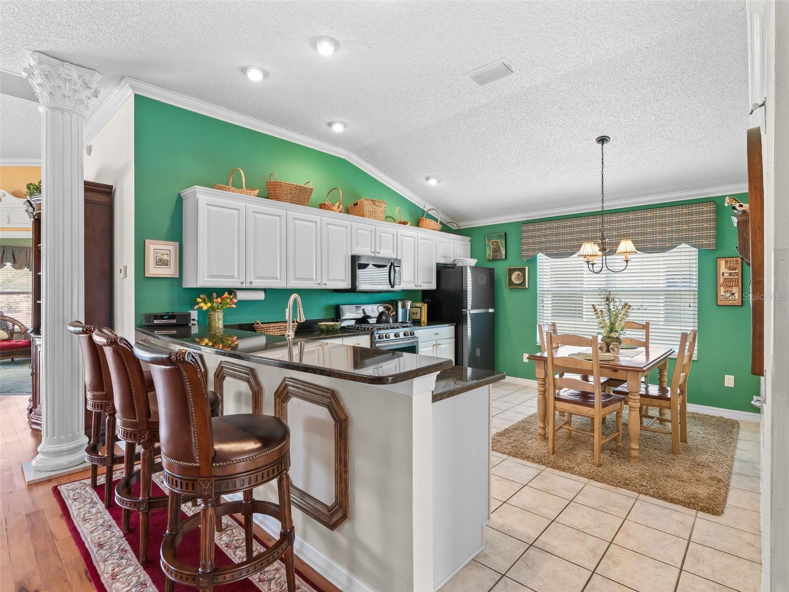 16829 SE 84TH COLERAIN CIR, THE VILLAGES, FL, 32162